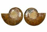 Cut & Polished Crystal-Filled Ammonite Fossil - Madagascar #354118-1